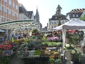 Wochenmarkt Reutlingen